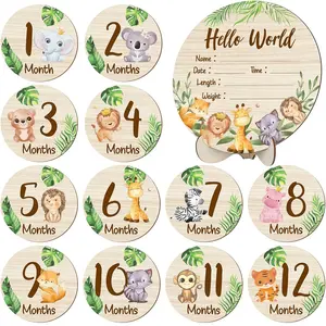 Wooden  Monthly Milestone Cards Double Sided  Birth Announcement Sign, Hello World Milestone Sign Discs  and  Shower Gifts for  Photo Props