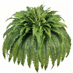 Artificial Ferns for Outdoors & Indoors, 50" Large Fake Ferns with Fruitlet & Vines, 98 Fronds Fern for Planters Porch Hall Home, or Potted, UV Resistant