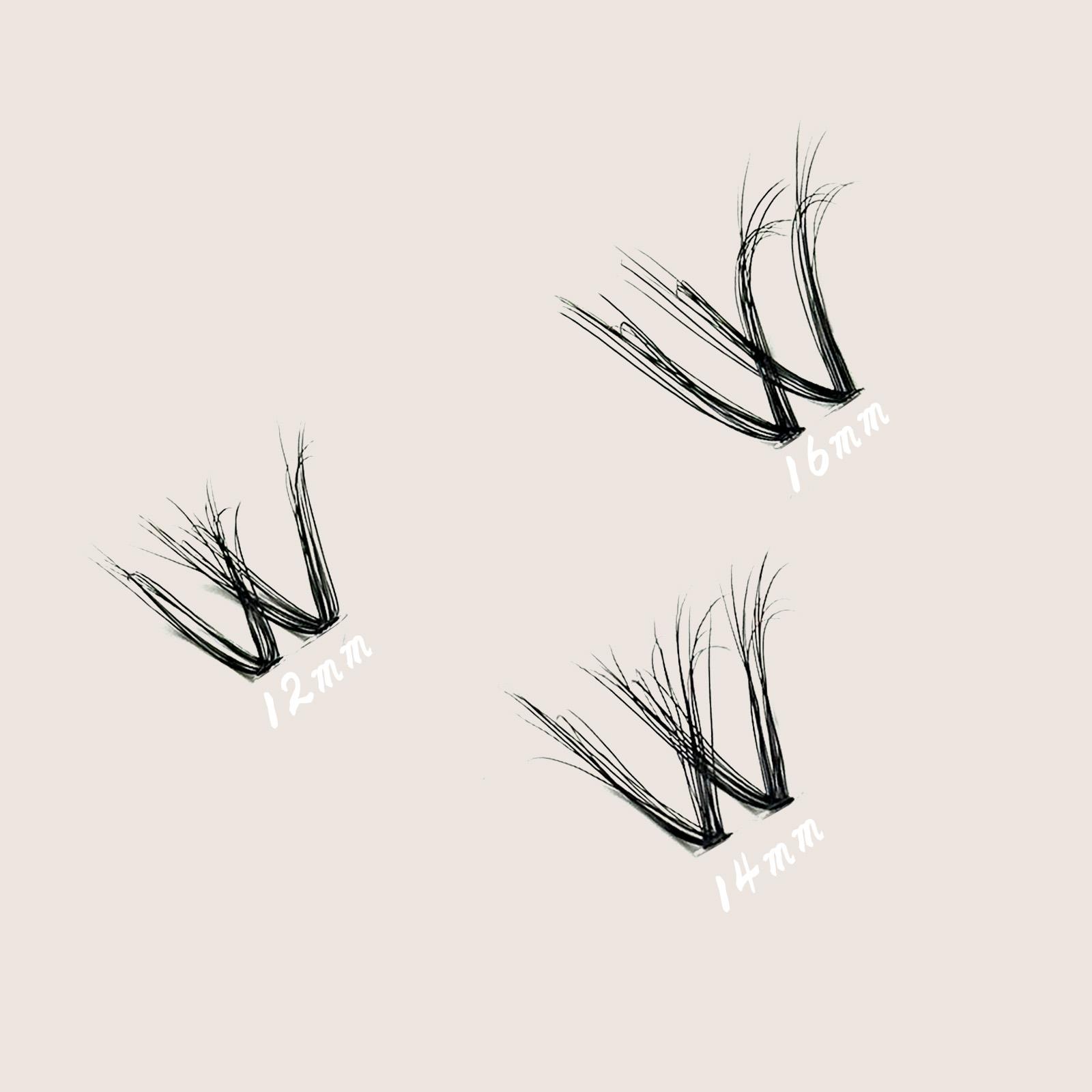 JVLBEAUTY NEW LAUNCH |【WINK WINK】 Signature Cluster Lashes, C-Curl, Segmented Style, Universal Fit for All Eye Shapes, Western Girl Vibe