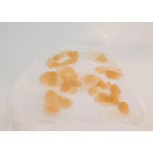 Silicone Prosthetic Thermal and Chemical Blister Clusters