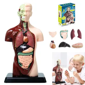 Science Can Human Body Model for Kids, Interactive Human Anatomy Talking Model - 11 Inch Realistic Anatomical Assembly Kit 15PCS Removable Parts and Guide STEM  Toys for Kids Aged 6+ Gifts preschool activity   toys  for  kids educational gift