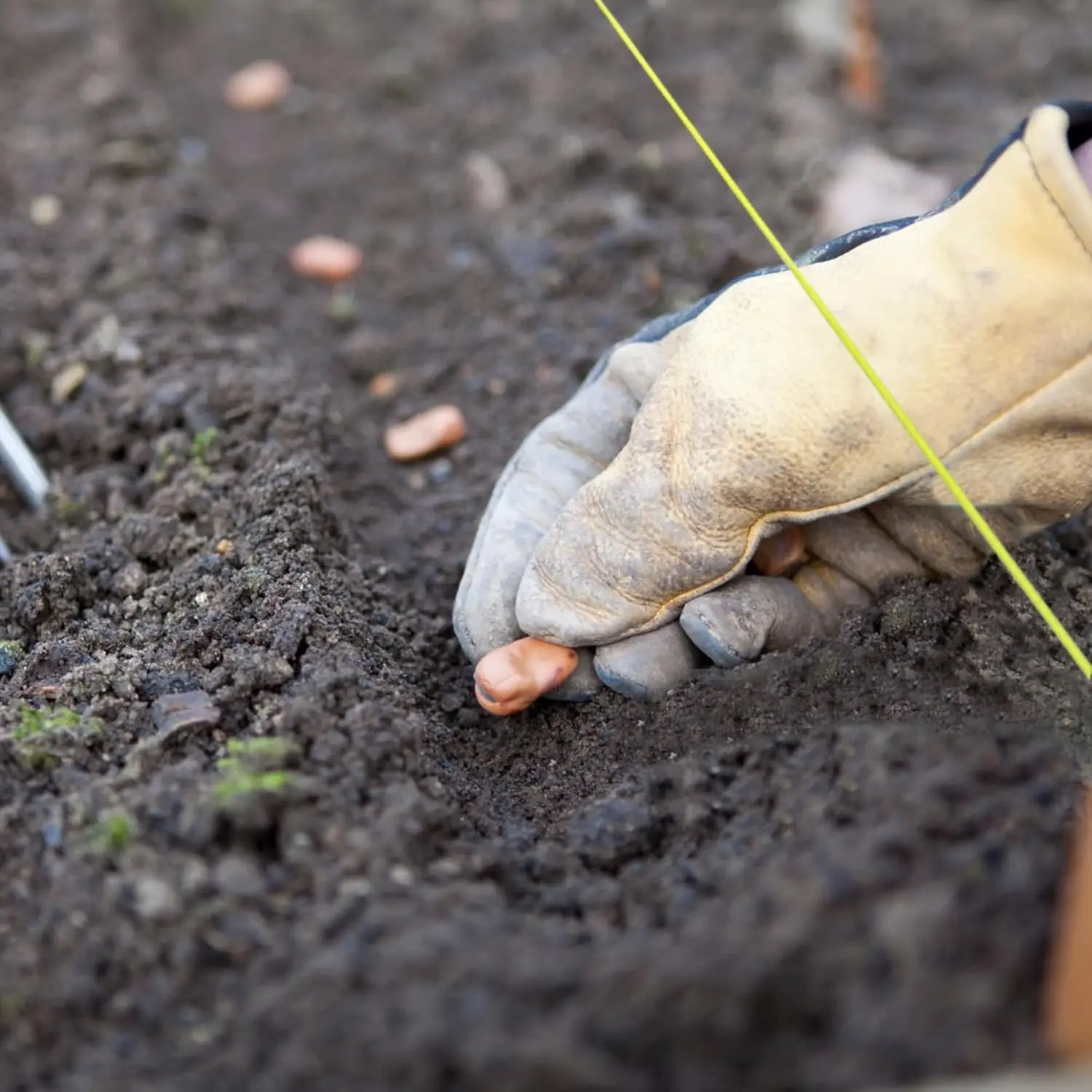 7200FT Line Nylon String#18 Braided Yellow - Construction String with Line Block for Plants Camping Gift Wrapping Masonry Projects 7200FT Line Nylon String#18 Braided Yellow - Construction String with Line Block for Plants Camping Gift Wrapping Masonry Projects