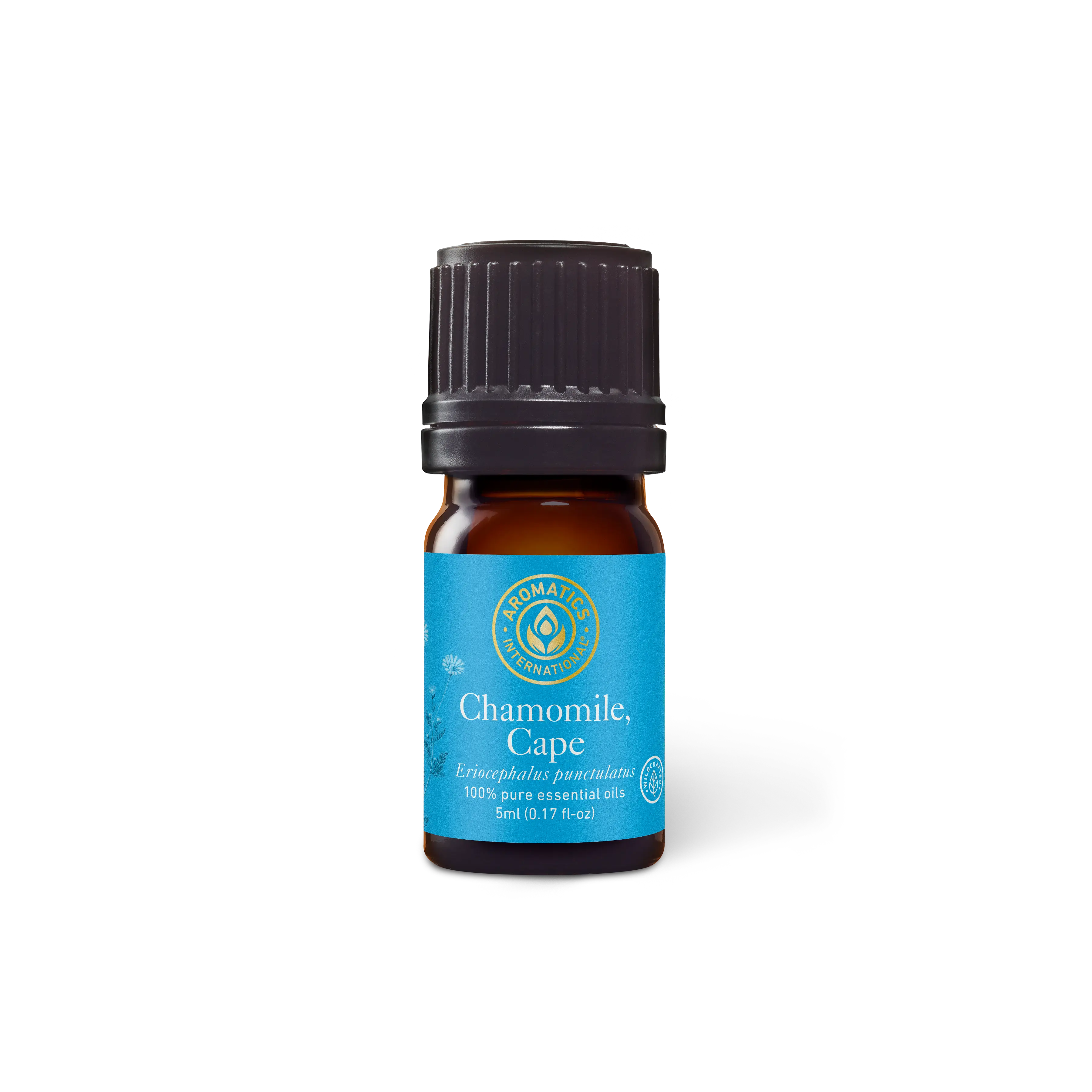 Chamomile Cape Essential Oil Aromatherapy Wellness Therapeutic Solution