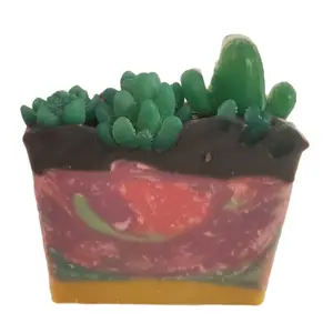 Lush Succulent Soap
