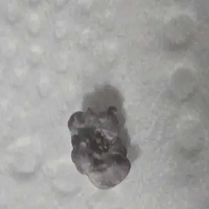 review image 9