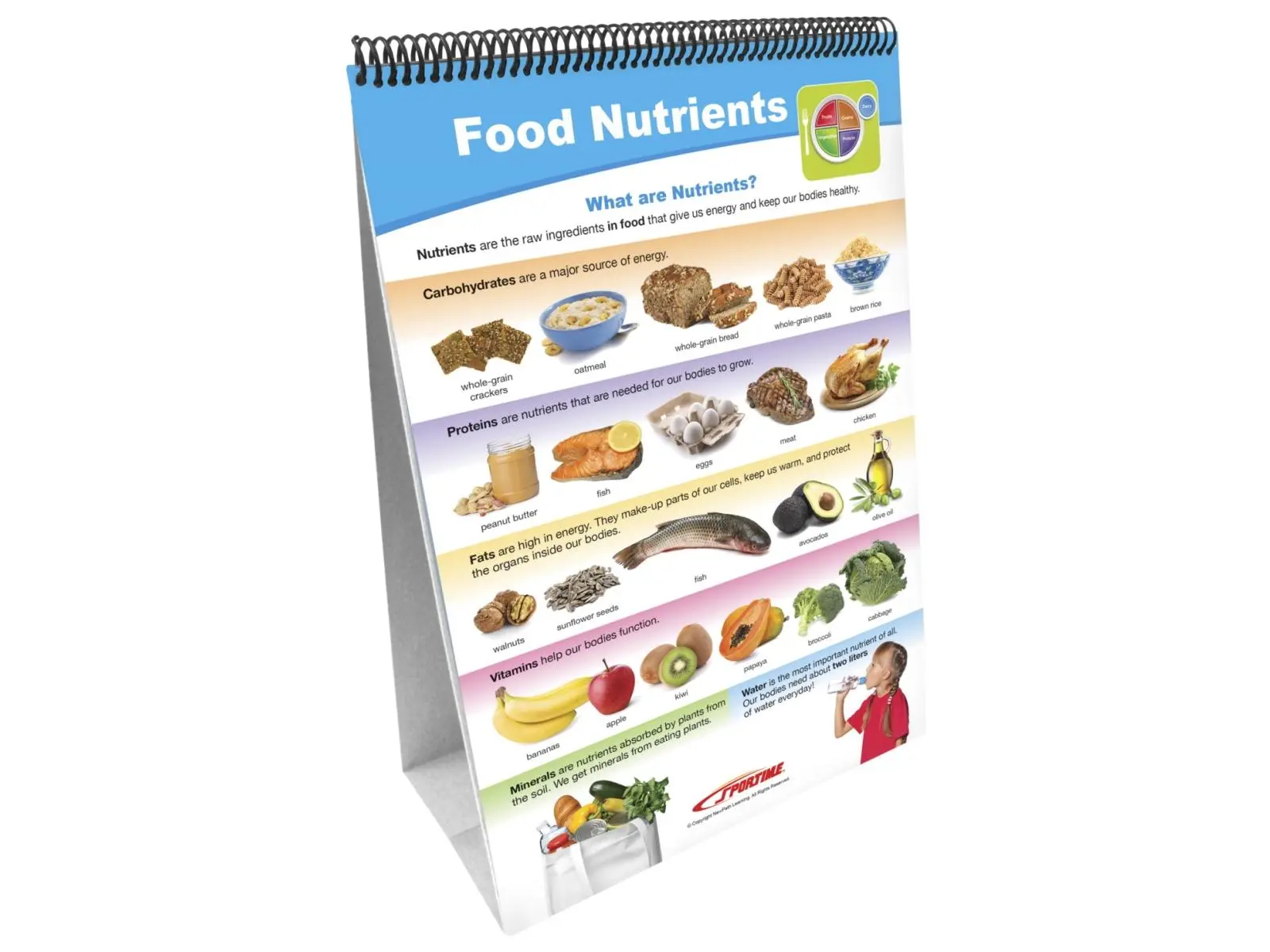 Sportime 2013484 My Plate Food Groups Laminated Paper Flip Chart Set - Colorful Pages, Write-On/Wipe Copy Masters for Grade 1-4 Elementary Kids (Office & School Educational Supplies)
