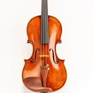 D Z Strad Violin - Model 609 - Old Spruce and European Tonewood Handmade Violin Outfit