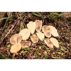 Western Red Cedar Rough-Cut Plaques