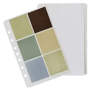 FranklinPlanner Color Tabs