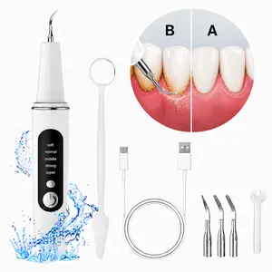 Oral Plaque/Tartar Remover for Teeth, Electric Tooth Cleaner Tartar Remover for Teeth with LED Light,5 Modes Rechargeable Teeth Cleaning Kit with Dental Tools, 3 Replaceable Heads Pet Safe Use Removable Adjustable