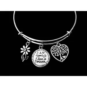 A Families Love is Forever Expandable Silver Charm Bracelet