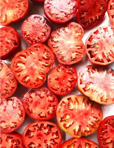 Tomato, Large Red Heirloom Mix - Beefsteak Type - Tomato Seeds (Solanum lycopersicum) 150 seeds (0.5 grams)