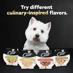 Cesar Wholesome Bowls Adult Wet Dog Food, Chicken Recipe and Chicken, Sweet Potatoes & Green Beans Recipe Variety Pack, 3 oz. (6 Count, Pack of 1)