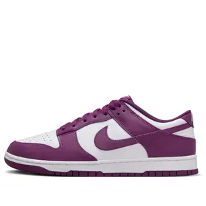 Nike Dunk Low 'Viotech White' DV0833-107