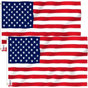 Pack of 2 Fly 3x5 Foot Flag - Vivid Color and Fade - Canvas Header and Stitched - Flags with Brass Grommets 3 X 5 Ft