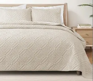 Exclusivo Mezcla California King/King/Queen/Twin Size Quilt Bedding Set, Lightweight Soft Bedspreads Coverlets with 2 Pillow Shams, Modern Oversized Quilts for All Seasons