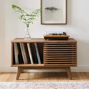 Render Vinyl Record Display Stand in Walnut