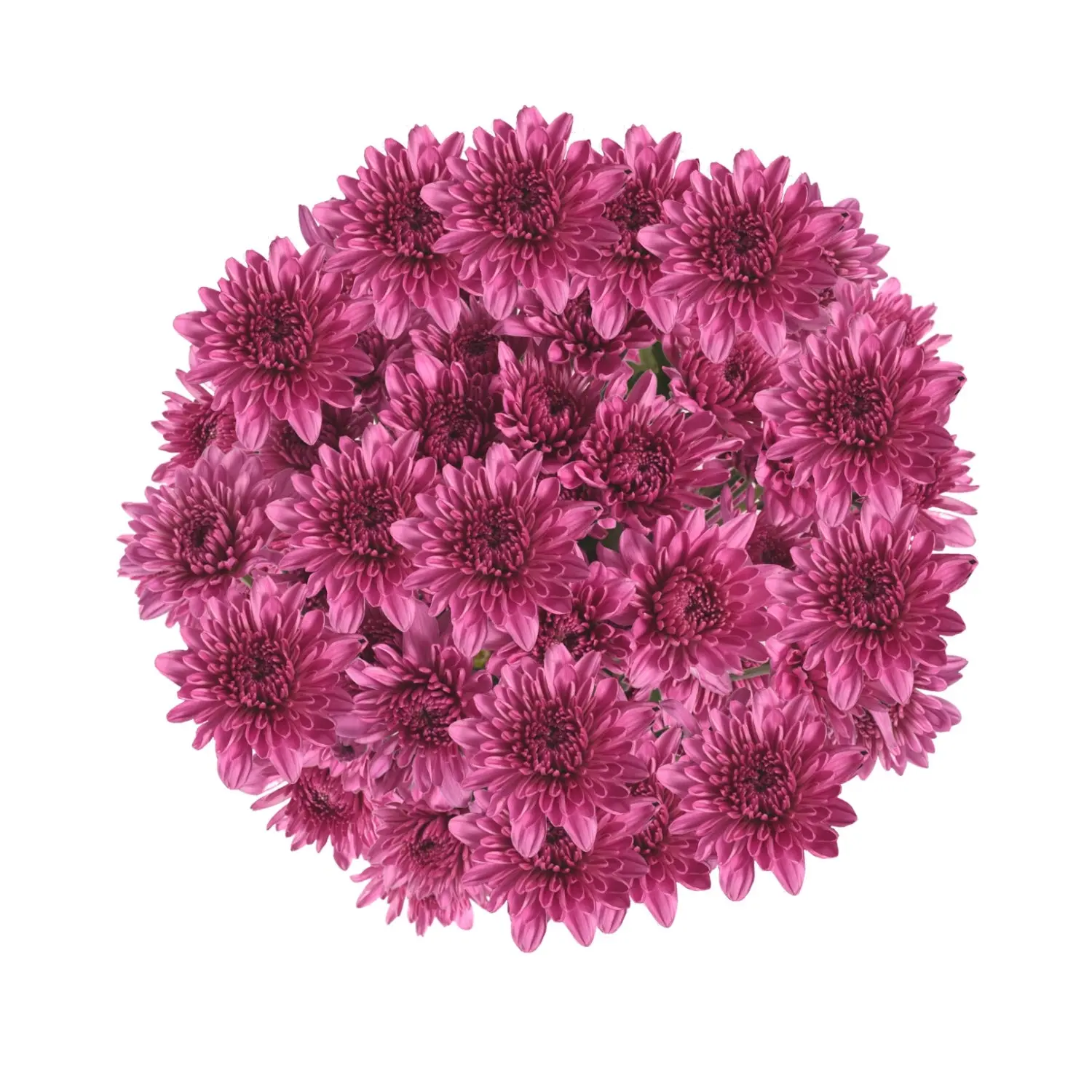 Pink Natural Pompom Cushion