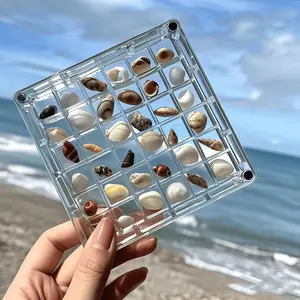 Acrylic Shell Storage Box, Transparent Specimen Display Case with 36 Mini Shell Slots, Magnetic Lid, High Transparency, Ideal for Daily Collection