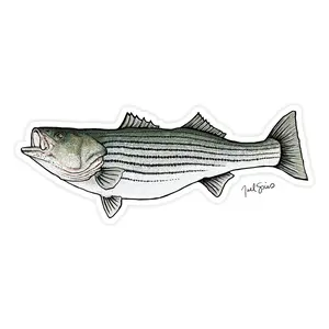 Striped Bass Decal