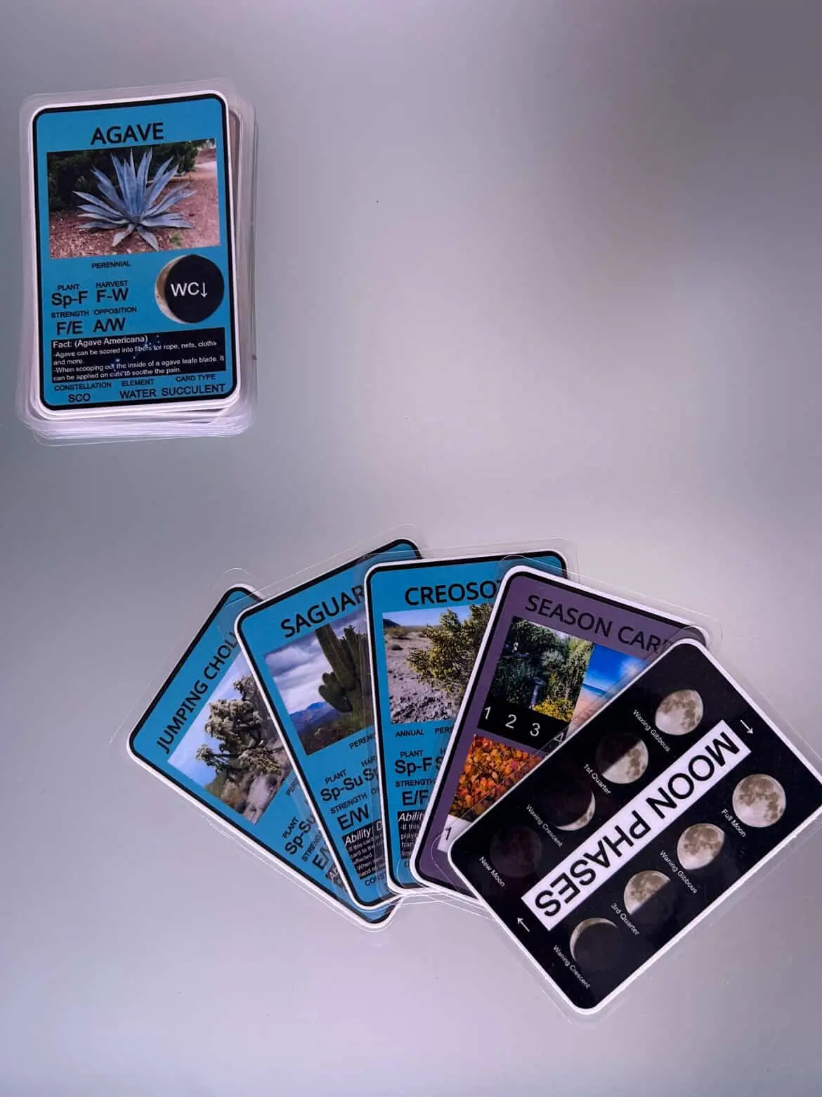 NAMA Harvest 365 Cacti Deck - Educational Trading Card Game for Kids - Promotes Reading & Plant Science - Hands-On Learning - Screen-Free - Community-Funded
