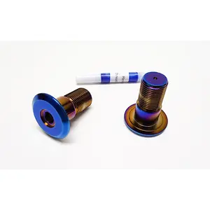 Warp 9 Talaria Sting Titanium Swing Arm Bolts