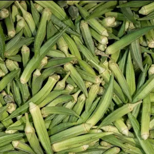 Okra Clemson Spineless Seeds