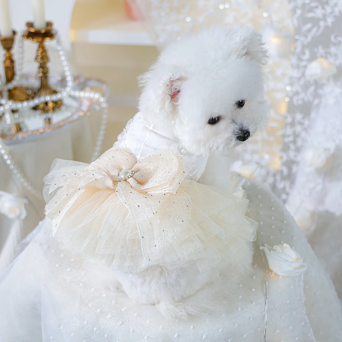Spring & Summer Pet Dress for Dogs & Cats, Elegant Princess Style Wedding Dress - TikTok Shop Spring & Summer Pet Dress for Dogs & Cats, Elegant Princess Style Wedding Dress - TikTok Shop