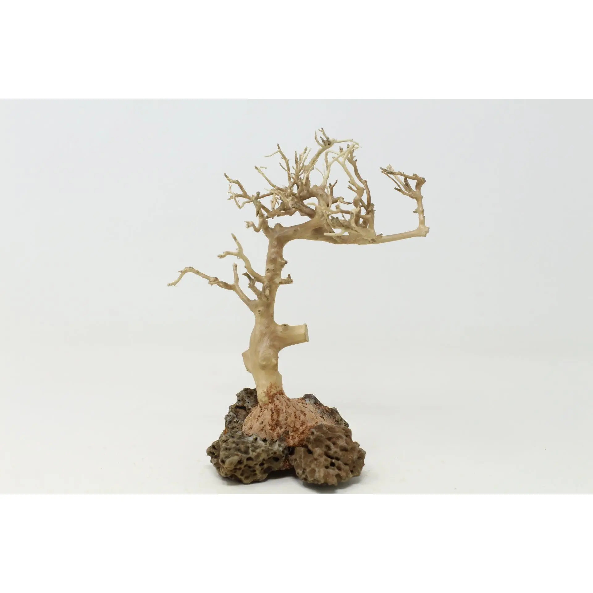 Aquarium Driftwood Bonsai Tree AquaScape Fish Planted Freshwater BSS Random Pick
