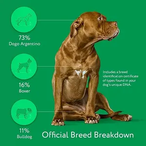 Discover Your Dog’s Breed with DNA My Dog Essential Breed ID Test