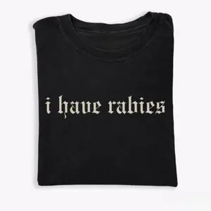 I Have Rabies Funny T-shirt, Unhinged Shirts, Weird Gift for Friend/ Sister, Humor Tee, Gen z Meme Tee, Silly Gifts