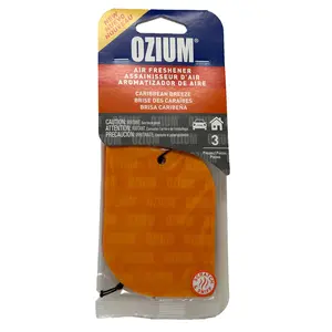 Ozium Paper Hanging Car Air Freshener with Odor Eliminator for Car - Refresh Your Ride with Automotive Air Fresheners