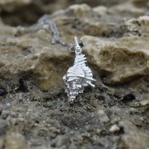 Curtis’s Conch Shells