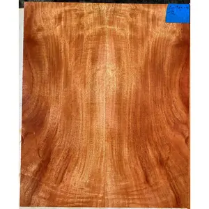 Curly Cuban Mahogany Tenor Ukulele Set