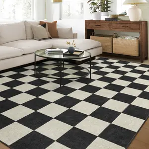 Modern Minimalist Chessboard Pattern Large Area Rug, Living Room Bedroom Carpet Mat, Foldable Non-Slip Plush Rug, Checkered Rug, Home Decor