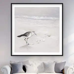 212 MAIN Semipalmated Sandpiper Animal Design Matted Framed Photo Print Wall Art, 48x48 in, Artistic Nature Home Room Decor, Ideal Home Supplies Gift