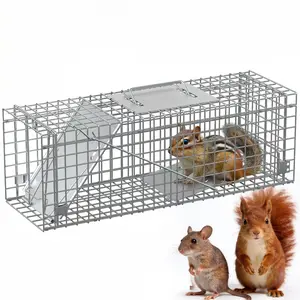 Versatile Humane Live Animal Trap Cage – Collapsible Heavy-Duty Steel, Sensitive Trigger, 1 or 2 Doors, Easy Assembly, Carry Handle – For Stray Cats, Raccoons, Skunks, Groundhogs, Armadillos, Large Rabbits, Small Foxes, Similar Animals