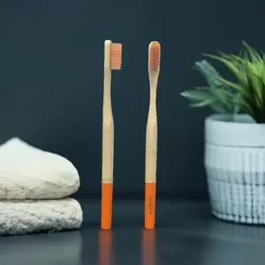 Gengyve Bamboo Toothbrush