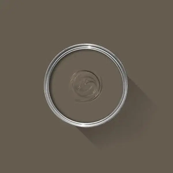 Farrow & Ball Salon Drab NO. 290 🚚 Free Shipping!