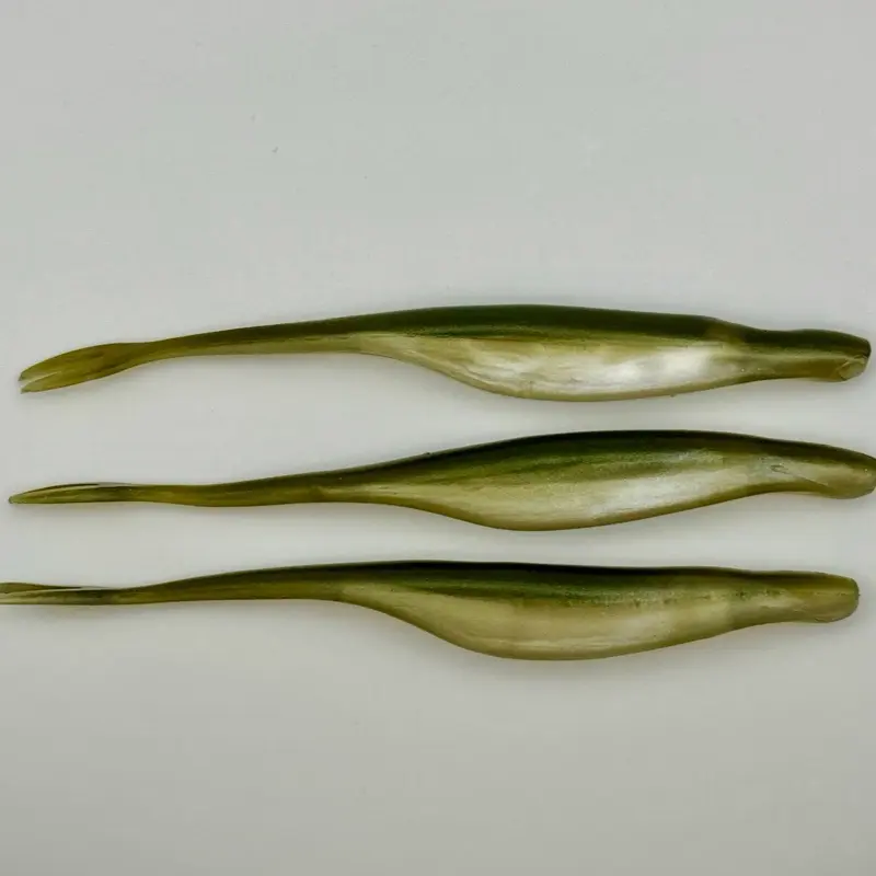 Defense bait and tackle Fluke Jerk Shad- Olive Shad (3 pack)