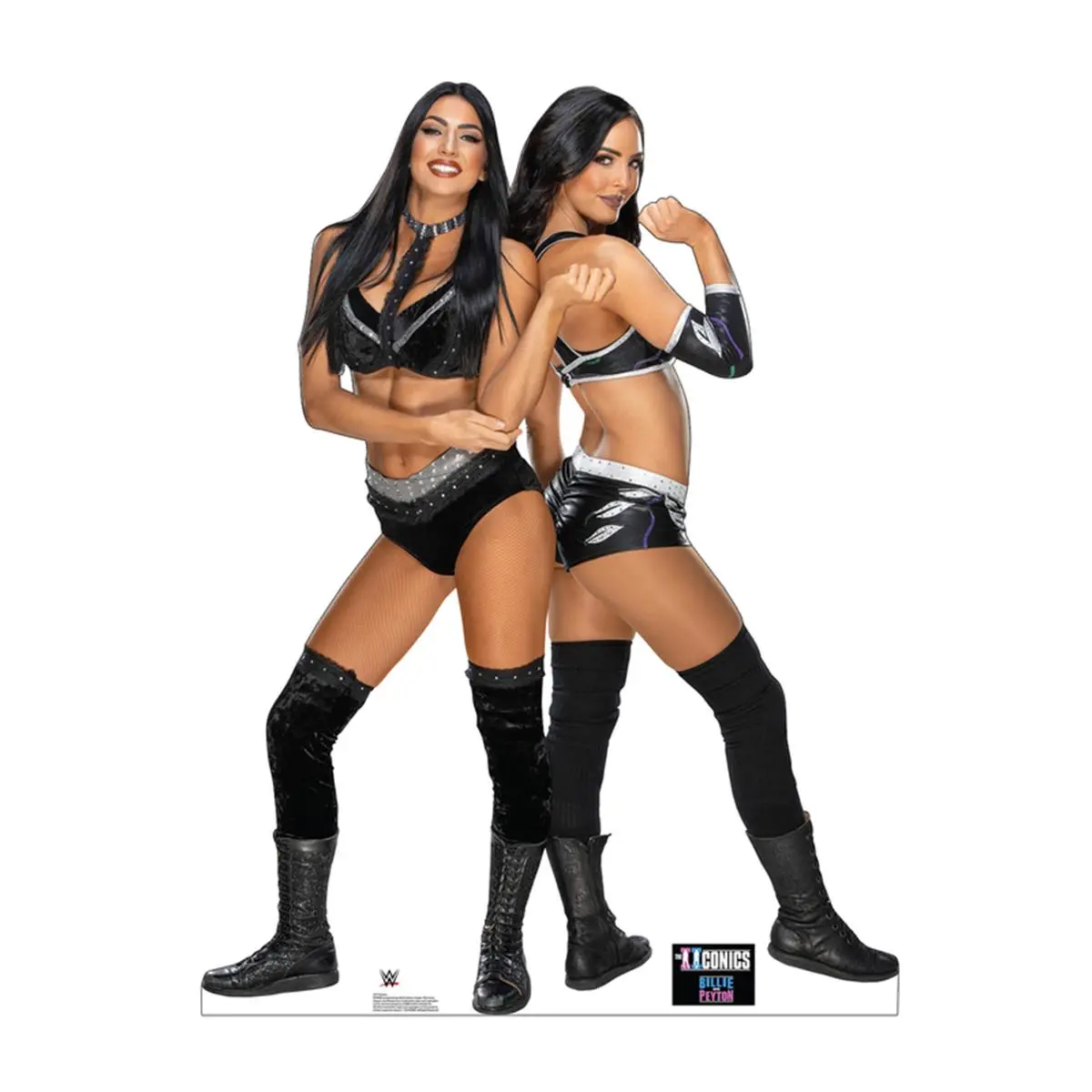 Advanced Graphics 2771 WWE IIconics Cardboard Cutout - 60x45 in Decorative Photo-Worthy Home & Event Decor, Party Accessory with Easel