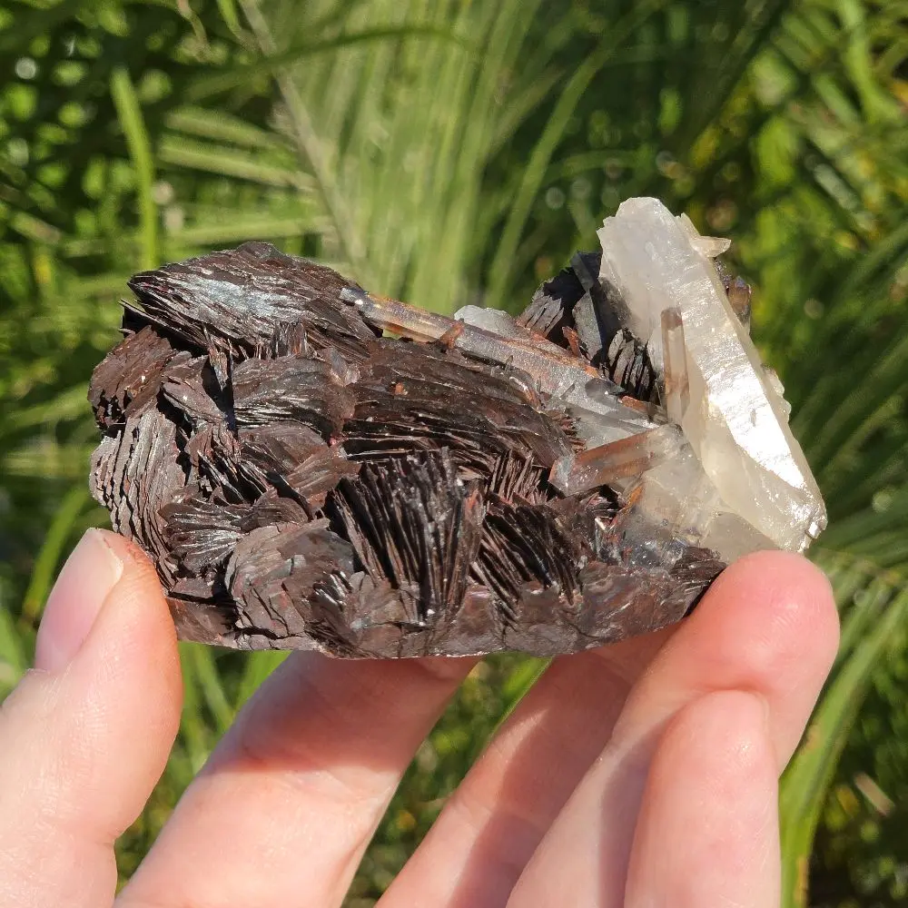 ​Natural Specular Hematite (Specularite) with Quartz Crystal Specimen