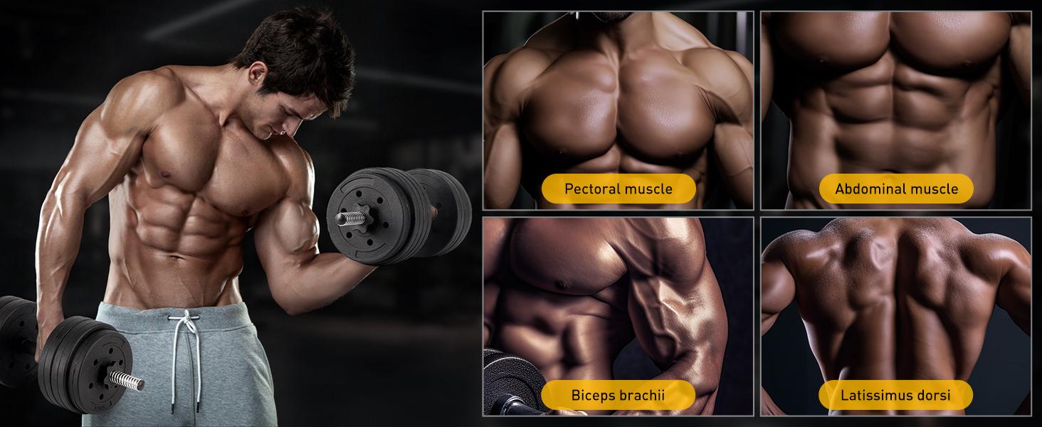 66LB Curling Bar & Dumbbell Set – 2-in-1 Home Workout Essential