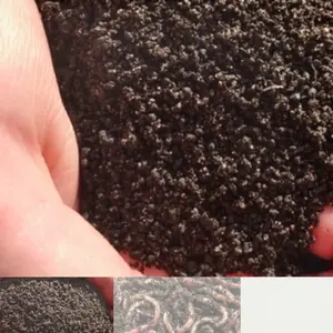 20 Pounds Red Wiggler Worm Castings Organic Fertilizer for Optimal Plant Growth 103 Quarts Medium Granule Vermiculite Soil Condition Enhancer