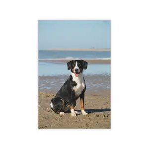 Dog Wallpaper Wall Decals - Puppy Love Removable Stickers, Pet Lover Home Decor, Animal Themed Room Art, Peel and Stick Mural, Doggy Nursery