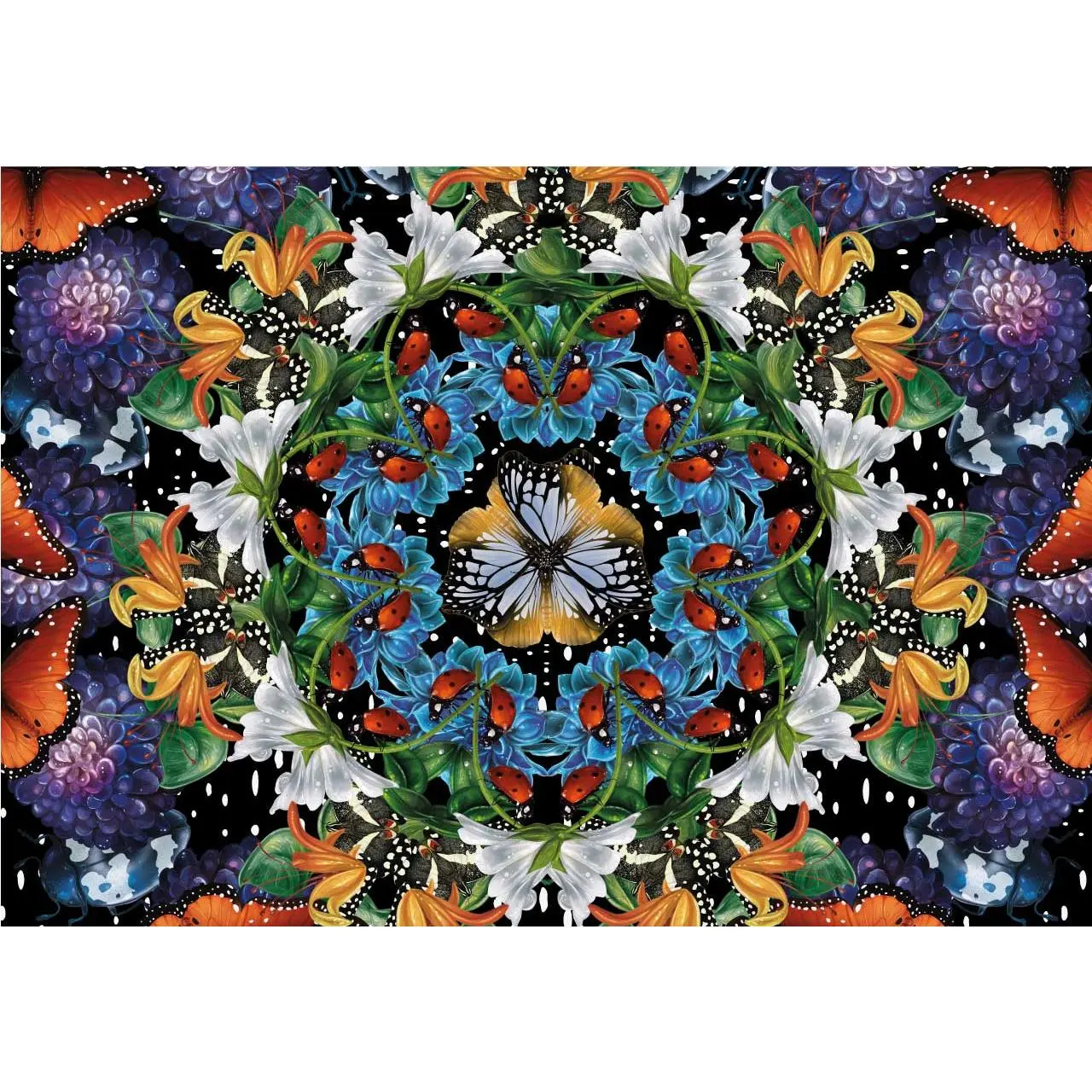 Nature Symmetry