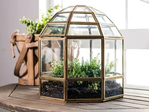 UB Large Terrarium Birdcage, Glass, Steel, Perfect for: Indoor Garden, Succulents, Anniversary, Birthday, Wedding Gifts.