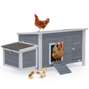 [5-year warranty] Petsfit Large Chicken Coop with Upgraded Perches, Wooden Outdoor Chicken Cage with Large Nesting Box, Weatherproof Open Asphalt Roof &Removable Bottom, Duck House, Rabbit Hutch