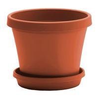 Terracotta