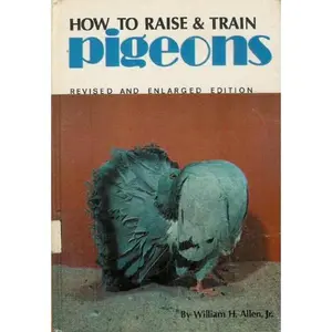 USED-How to Raise and Train Pigeons by Allen, William H., Jr. (Hardcover)